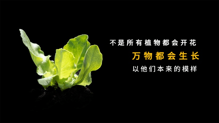 万物生长手游官方下载,数据导向实施步骤&amp;The_v6.720