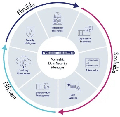 网络安全顾问眼中的Spyder 官方下载，深层数据应用执行LE版_v7.556，全面解析网络威胁与防御策略