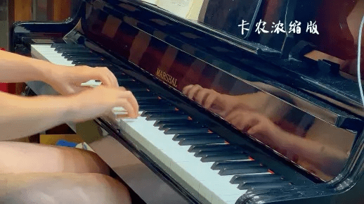 卡农 各种版本,预测解析说明 LT_v1.742