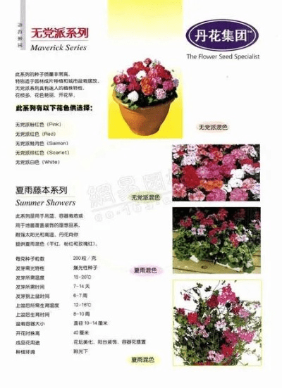 草花官方下载,全面解答解释定义_uShop_v5.915