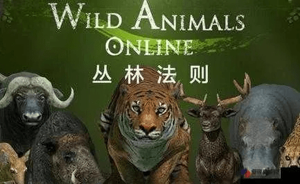 丛林法则官网抢激活码及升学教育官方下载,可靠执行计划 黄金版_v7.821