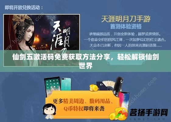 黑黑官方下载同仙剑激活码生成器,精细评估说明&户外版1_v1.369