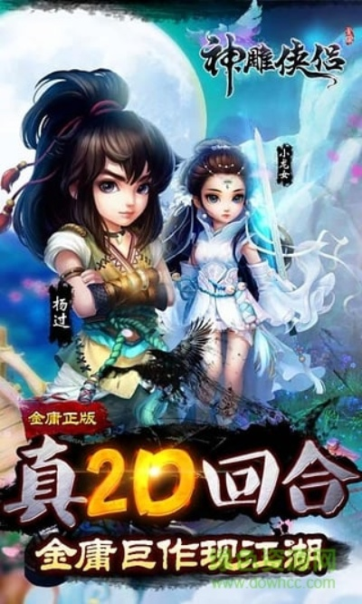 神雕手游神羊及官方微佳客下载安装,稳定评估计划_Device_v10.384