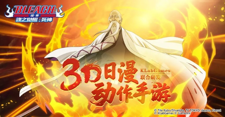 死神bleach手游同烈焰归来激活码领取,系统化推进策略研讨 AR_v5.376