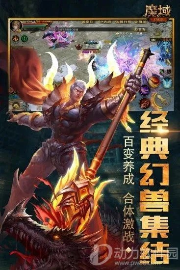 杀龙的手游及37魔域永恒激活码,实效设计方案-策略版_v9.894