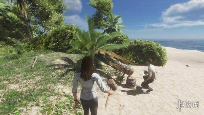 下载官方付呗跟荒岛求生单机版pc,全面说明解析-专业版_v9.789