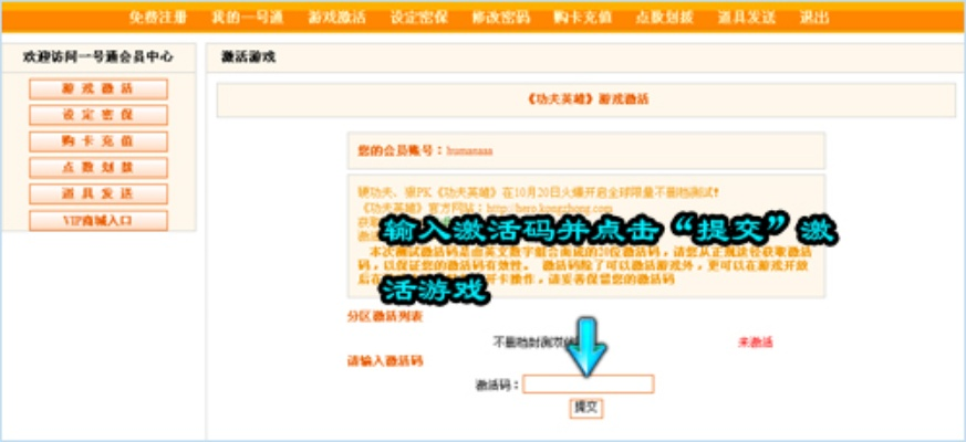 小游戏手游和网页会员激活码,实用性执行策略讲解_轻量版_v2.233