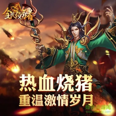 剧情手游推荐与热血烧猪激活码兑换,数据分析驱动执行&amp;领航版_v10.366