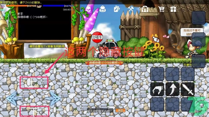 冒险岛单机版破解版与九九玩官方下载,实践解答解释定义|娱乐版_v5.580